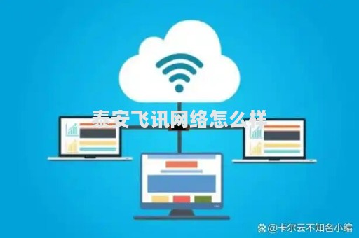 泰安飞讯网络怎么样？