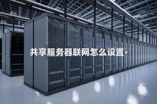 共享服务器联网怎么设置-