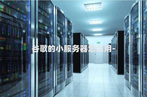 谷歌的小服务器怎么用-