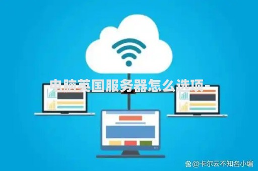 电脑英国服务器怎么选项-